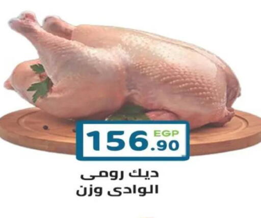 available at هايبر ماركت دريم in Egypt - القاهرة