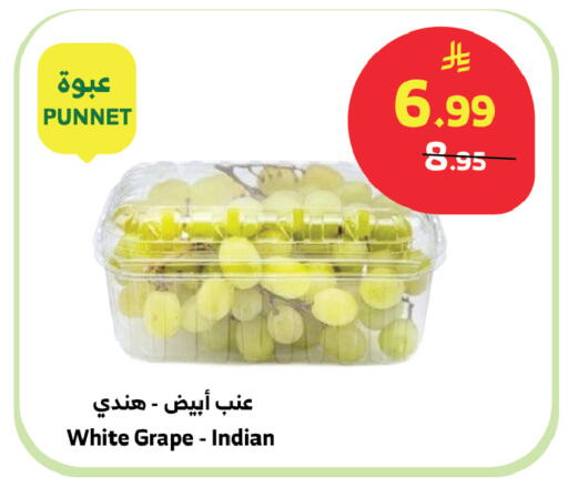 from India available at Al Raya in KSA, Saudi Arabia, Saudi - Mecca