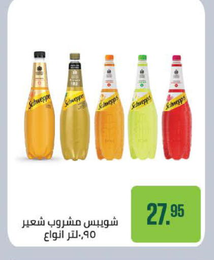 available at Seoudi Supermarket in Egypt - Cairo