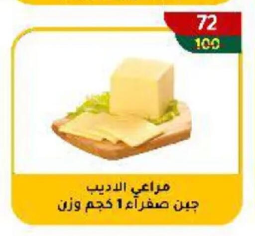 available at Wekalet Elmansoura - Dakahlia  in Egypt - Cairo