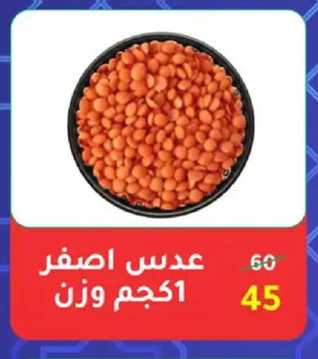 available at Wekalet Elmansoura - Dakahlia  in Egypt - Cairo