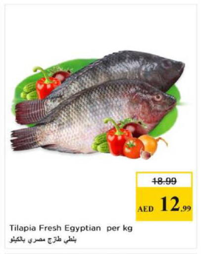 available at نستو هايبرماركت in الإمارات العربية المتحدة , الامارات - الشارقة / عجمان