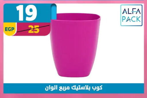 available at Shaheen Center in Egypt - Cairo