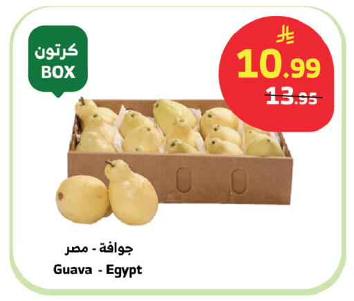 Guava from Egypt available at Al Raya in KSA, Saudi Arabia, Saudi - Mecca