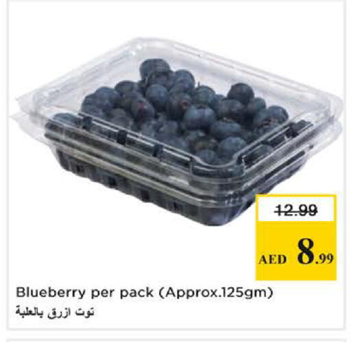 Blueberry BlueBerry available at Nesto Hypermarket in UAE - Dubai