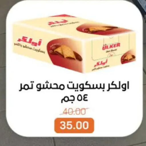 available at بيت الجملة in Egypt - القاهرة