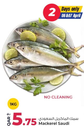 available at روابي هايبرماركت in قطر - الشحانية