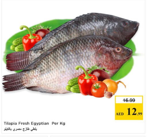 available at Nesto Hypermarket in UAE - Fujairah