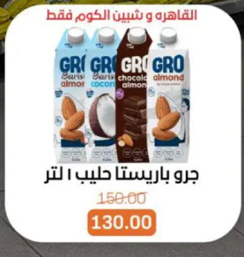 available at بيت الجملة in Egypt - القاهرة