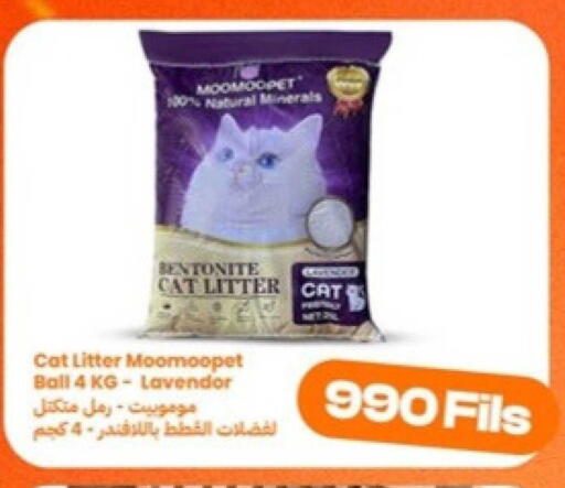 available at توصيل  in الكويت - محافظة الجهراء