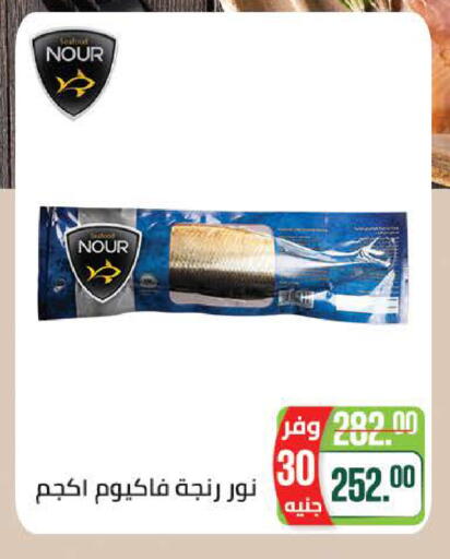 available at Seoudi Supermarket in Egypt - Cairo