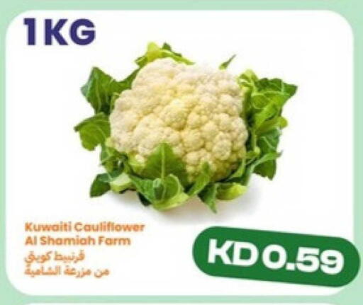 Cauliflower from Kuwait available at توصيل  in الكويت - محافظة الجهراء
