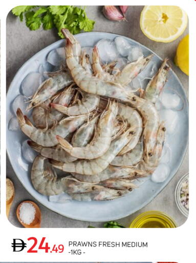 available at سوق طلال in الإمارات العربية المتحدة , الامارات - أبو ظبي