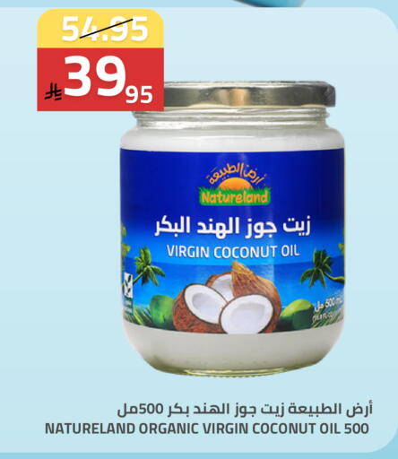 Coconut available at أسواق أسترا in مملكة العربية السعودية, السعودية, سعودية - تبوك