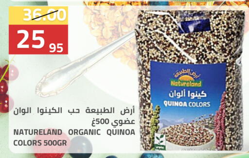 available at أسواق أسترا in مملكة العربية السعودية, السعودية, سعودية - تبوك