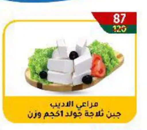 available at Wekalet Elmansoura - Dakahlia  in Egypt - Cairo