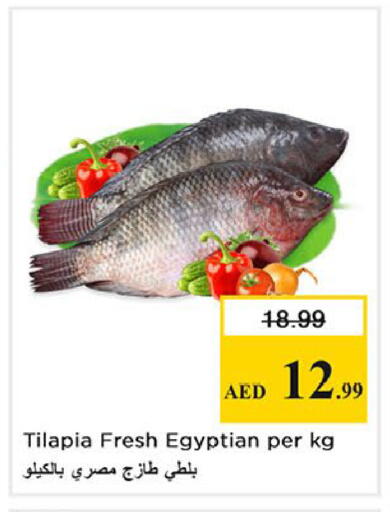 available at نستو هايبرماركت in الإمارات العربية المتحدة , الامارات - الشارقة / عجمان