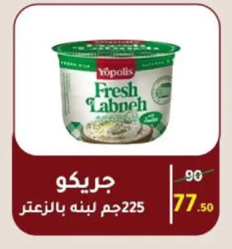 available at وكالة المنصورة - الدقهلية‎ in Egypt - القاهرة