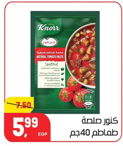 Tomato available at هايبر المنصورة in Egypt - القاهرة
