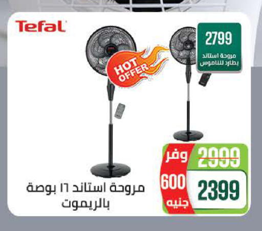 available at Seoudi Supermarket in Egypt - Cairo