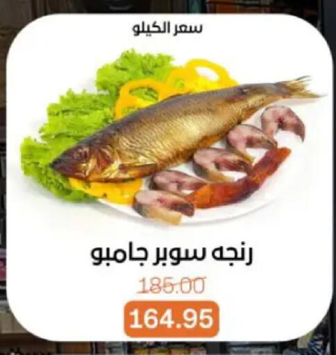 available at Beit El Gomla in Egypt - Cairo