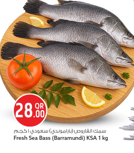 available at سفاري هايبر ماركت in قطر - الخور