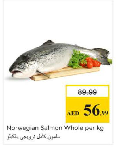 available at نستو هايبرماركت in الإمارات العربية المتحدة , الامارات - الشارقة / عجمان