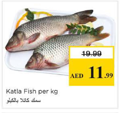 available at نستو هايبرماركت in الإمارات العربية المتحدة , الامارات - الشارقة / عجمان