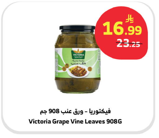 available at الراية in مملكة العربية السعودية, السعودية, سعودية - تبوك