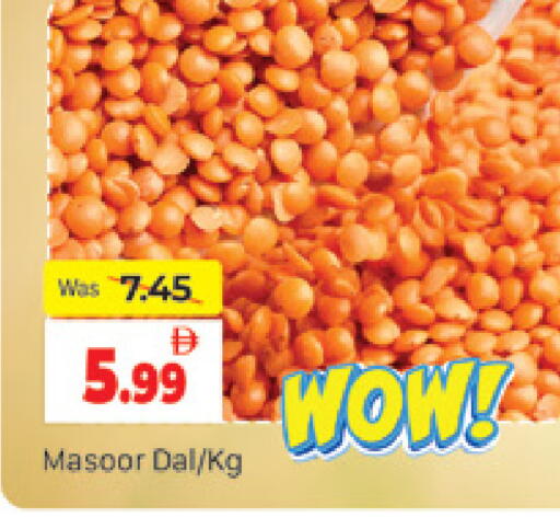 available at المدينة in الإمارات العربية المتحدة , الامارات - دبي