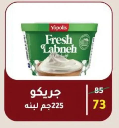 available at وكالة المنصورة - الدقهلية‎ in Egypt - القاهرة