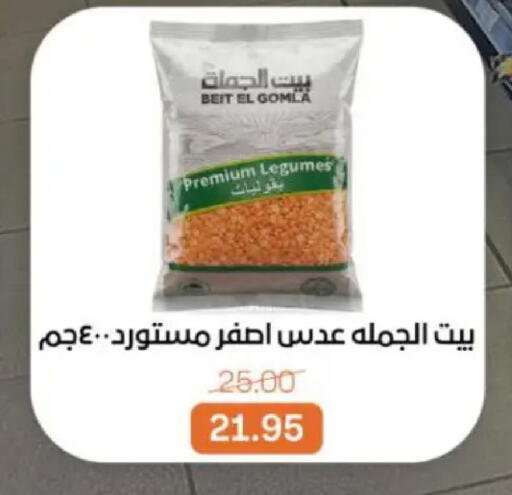 available at بيت الجملة in Egypt - القاهرة
