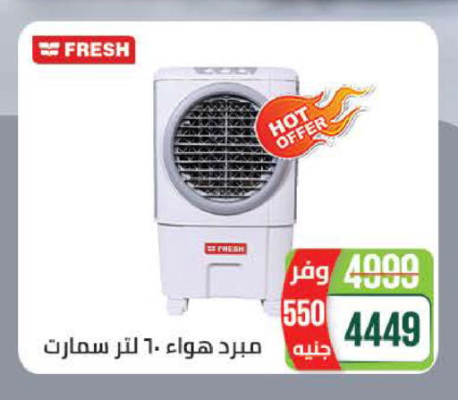 available at Seoudi Supermarket in Egypt - Cairo