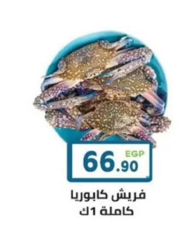 available at هايبر ماركت دريم in Egypt - القاهرة