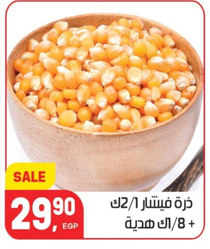 available at Hyper El Mansoura Shobra in Egypt - Cairo