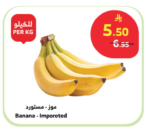 Banana available at Al Raya in KSA, Saudi Arabia, Saudi - Mecca