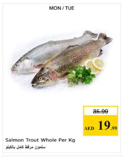 available at Nesto Hypermarket in UAE - Fujairah