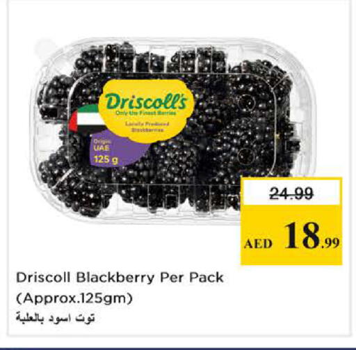 Blackberry available at Nesto Hypermarket in UAE - Dubai