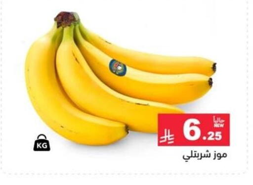 available at أسواق رامز in مملكة العربية السعودية, السعودية, سعودية - تبوك