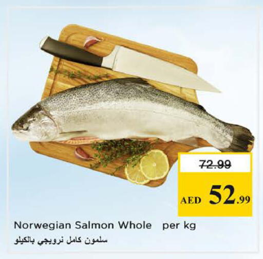 available at نستو هايبرماركت in الإمارات العربية المتحدة , الامارات - الشارقة / عجمان