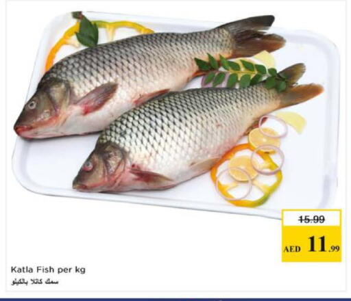 available at نستو هايبرماركت in الإمارات العربية المتحدة , الامارات - الشارقة / عجمان