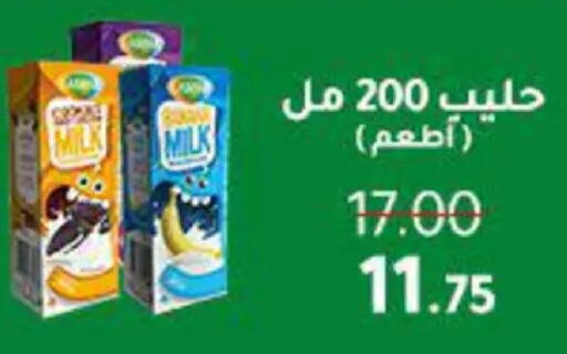 available at Wekalet Elmansoura - Dakahlia  in Egypt - Cairo