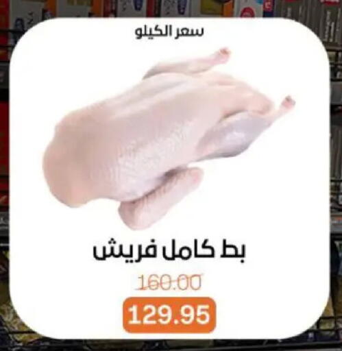 available at Beit El Gomla in Egypt - Cairo