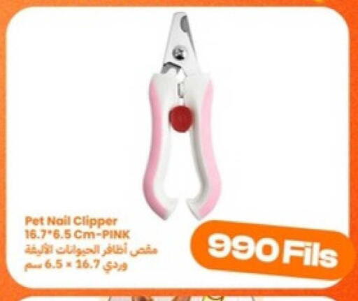 available at توصيل  in الكويت - محافظة الجهراء