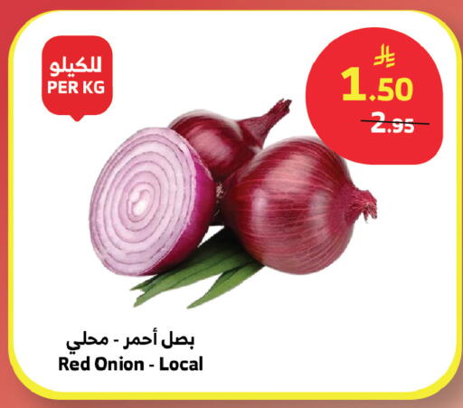 Onion available at Al Raya in KSA, Saudi Arabia, Saudi - Khamis Mushait