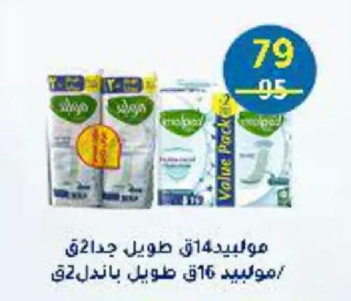 available at وكالة المنصورة - الدقهلية‎ in Egypt - القاهرة