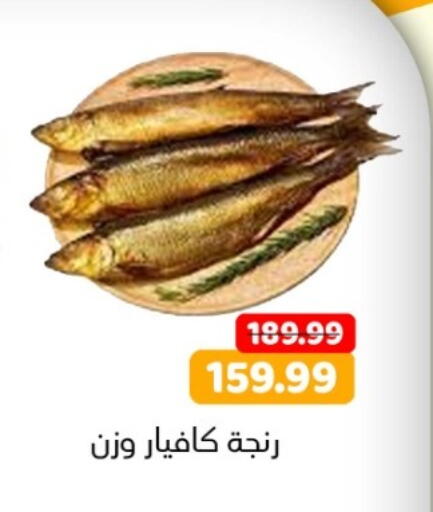 available at AlSultan Hypermarket in Egypt - Cairo