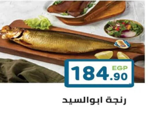 available at هايبر ماركت دريم in Egypt - القاهرة