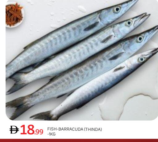 available at سوق طلال in الإمارات العربية المتحدة , الامارات - أبو ظبي