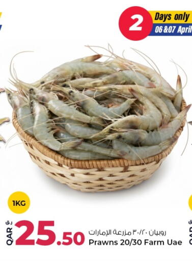 available at روابي هايبرماركت in قطر - الشحانية